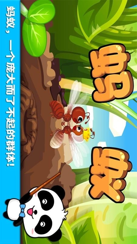 宝宝认蚂蚁手机版1