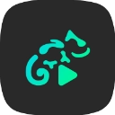 蜥蜴音乐播放器