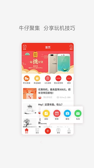 努比亚社区图1