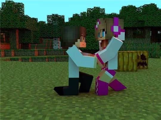 我的世界正版(3)