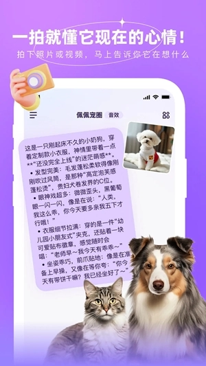 佩佩宠圈手机版