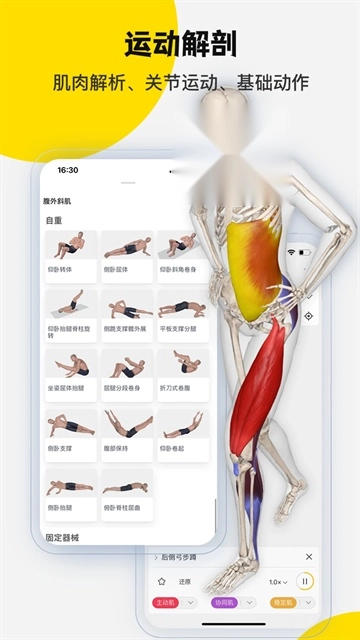 3dbody解剖免费版(2)