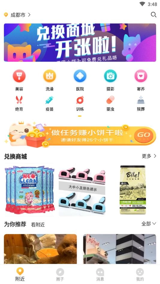 鲸宠3