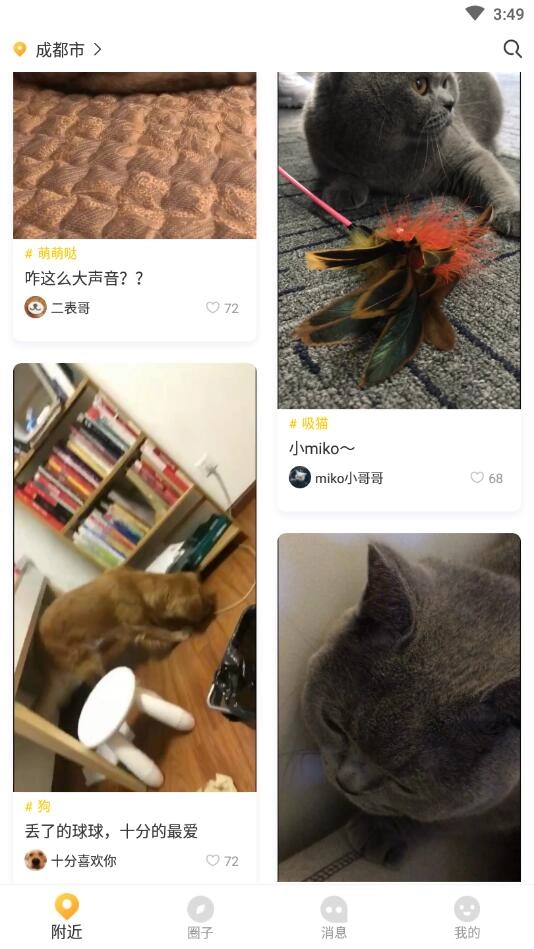 鲸宠4