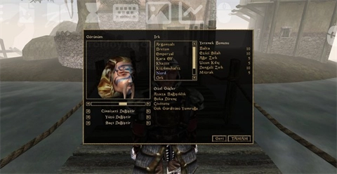 上古卷轴3晨风手机版图2