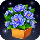 摆花齐放红包版