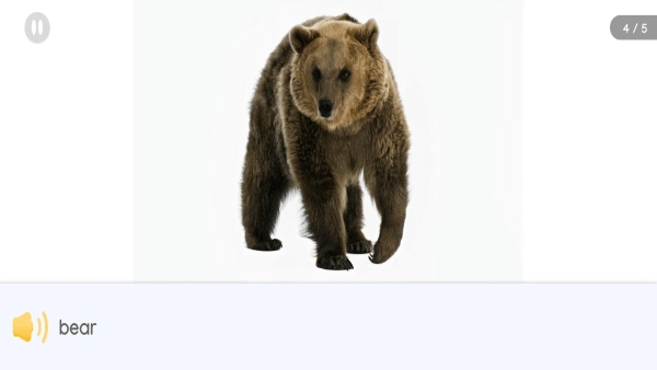 阅读大冒险软件