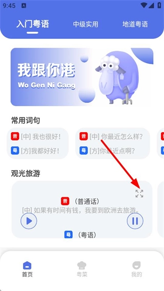 粤语字典正式版下载