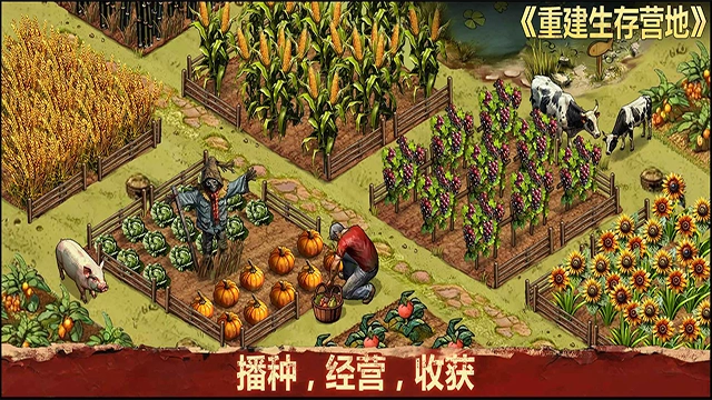 重建生存营地手机版截图2