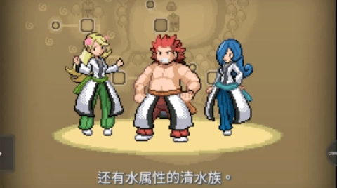 宝可梦武士道游戏官方版图3