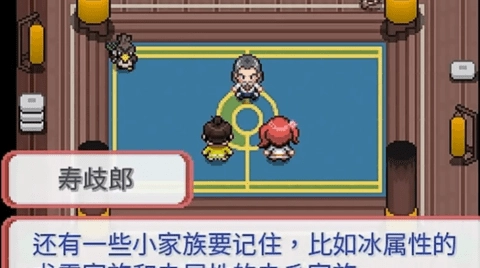 宝可梦武士道游戏官方版图4