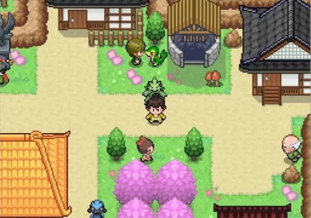 宝可梦武士道游戏官方版图2