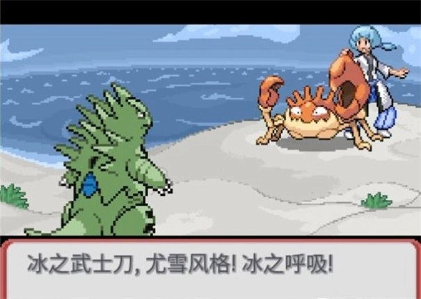 宝可梦武士道游戏官方版图1