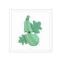 青瓜追书