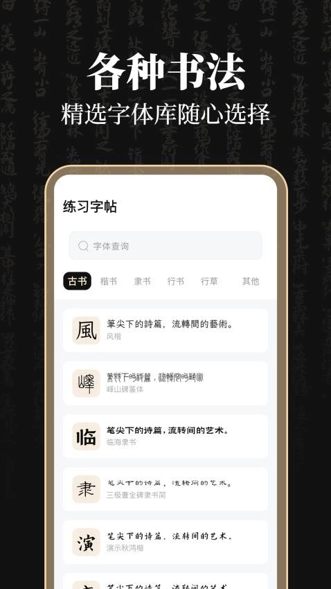 钢笔365掌上字帖最新版(4)