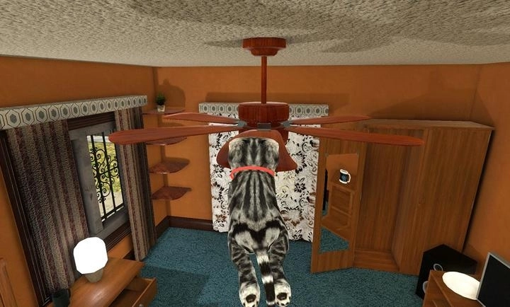 猫猫模拟器正版