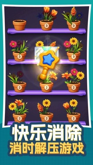 无序生花