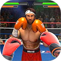 超强格斗对决免广告