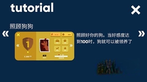 狗狗庇护所(4)