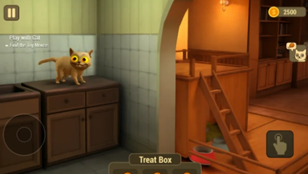 神秘猫鬼屋