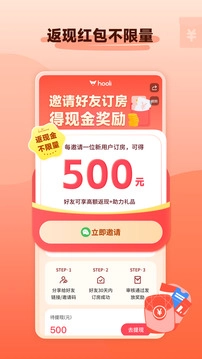 hooli图5
