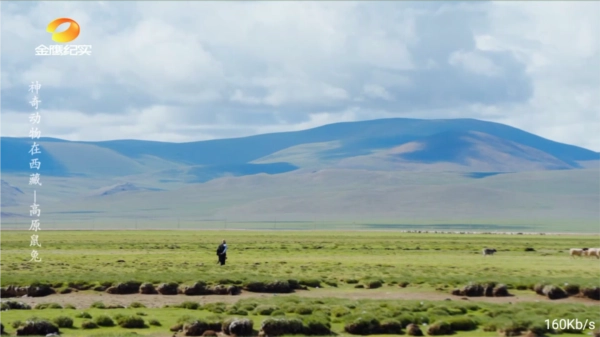 落日tv最新版图4