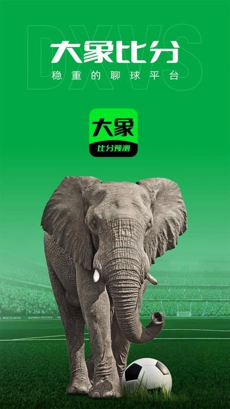 大象比分截图3