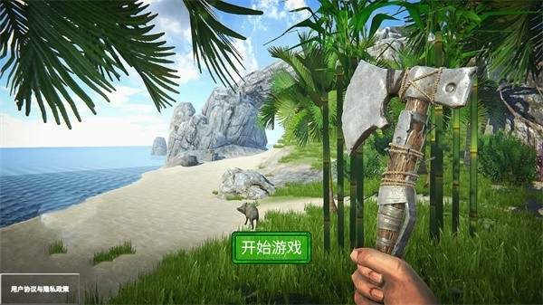 荒岛生存模拟3D游戏纯净版图3