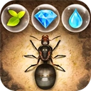 小小蚁国小米客户端  安卓版