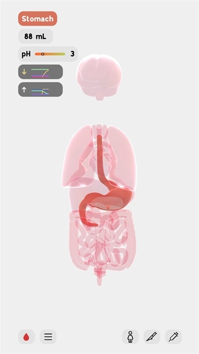 生命life汉化版图4