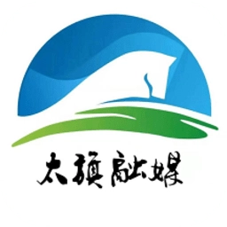 魅力太旗手机版