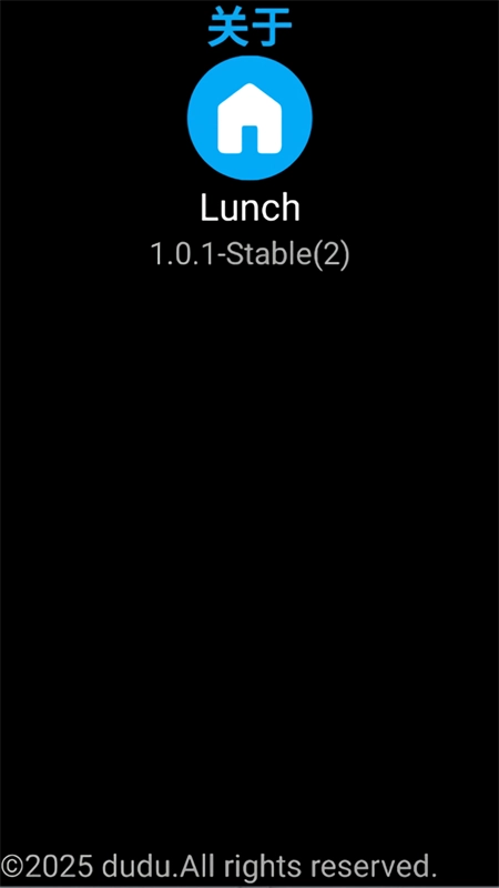 Lunch手表桌面启动器安卓版截图1