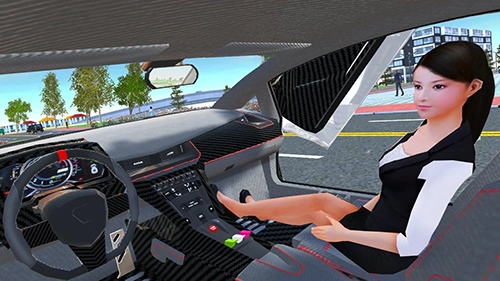 汽车模拟器22025 Car Simulator 2(2)