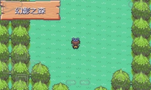 口袋妖怪漆黑的魅影ex bw神兽(2)