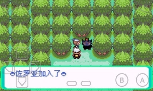 口袋妖怪漆黑的魅影ex bw神兽(3)