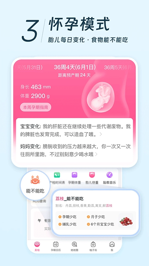 美柚最新版图5