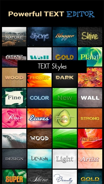 Photo Studio PRO 图5