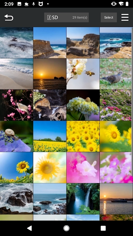 松下LUMIX Sync  安卓版图3