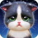 小猫爱消除游戏