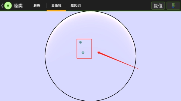 细胞实验室最新版图4
