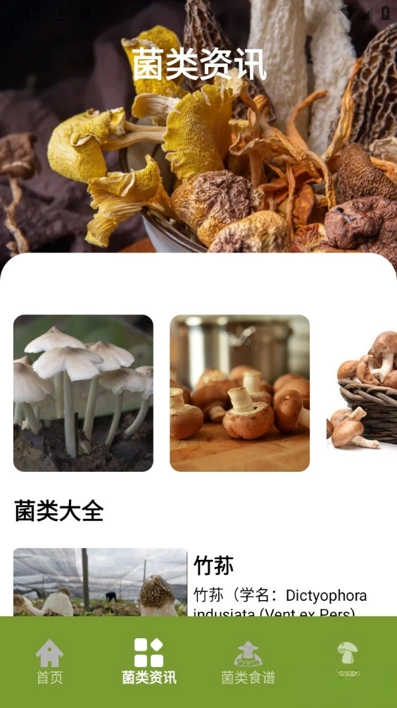 蘑菇识别手机版图2