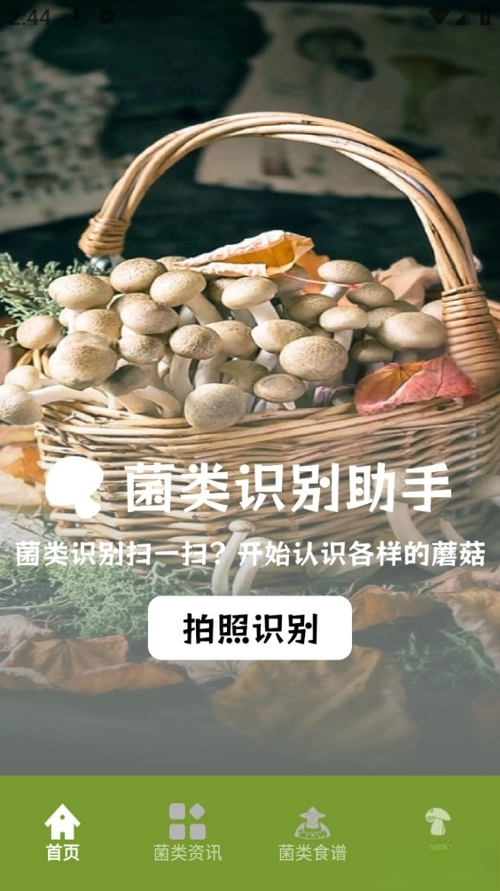 蘑菇识别手机版图3
