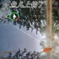 极限钓鱼大师单机版