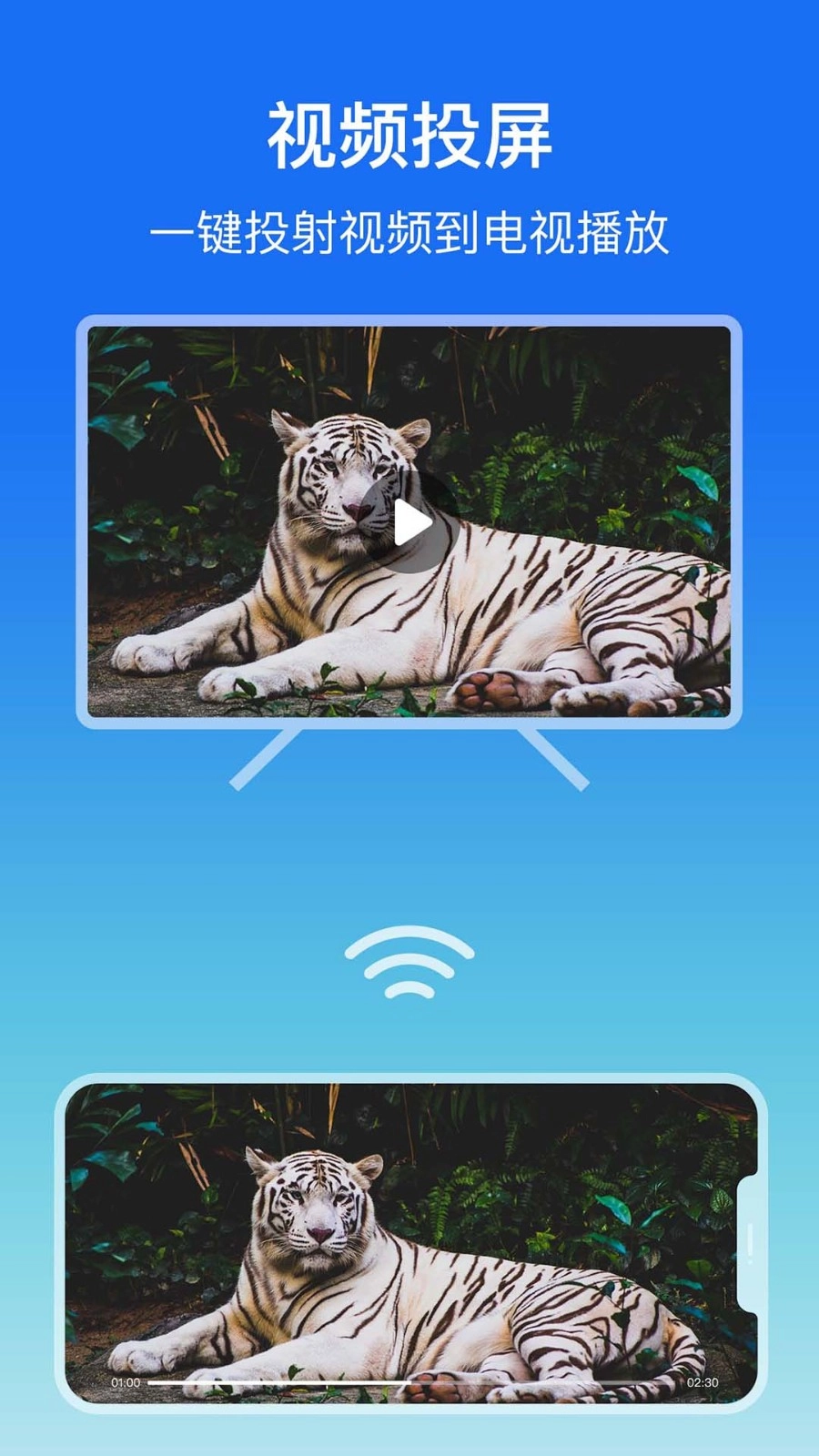 屏幕镜像绿色版图1