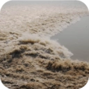 全国潮汐表手机正版