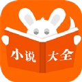 布袋鼠小说直装版