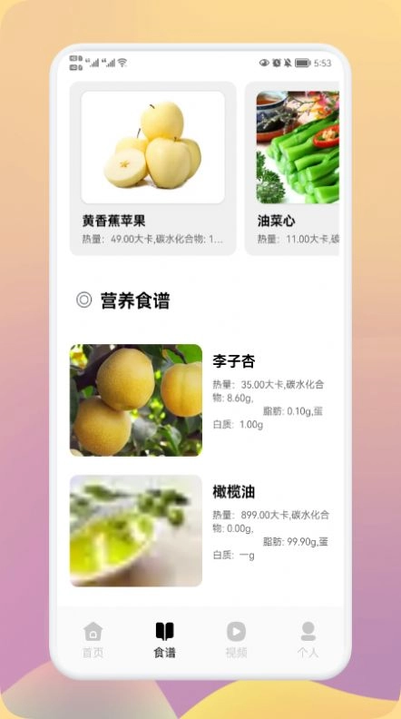 瘦身计划大师免费原版图1