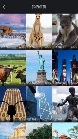 泡泡视频手机版图3