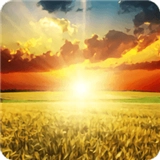 阳光高考信息平台安卓直装版