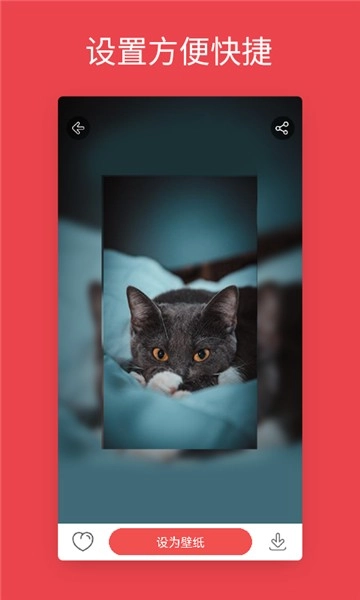 动态壁纸通用版图2